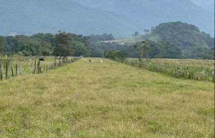 Terreno com 0 quartos em Sul do Rio, Santo Amaro da Imperatriz